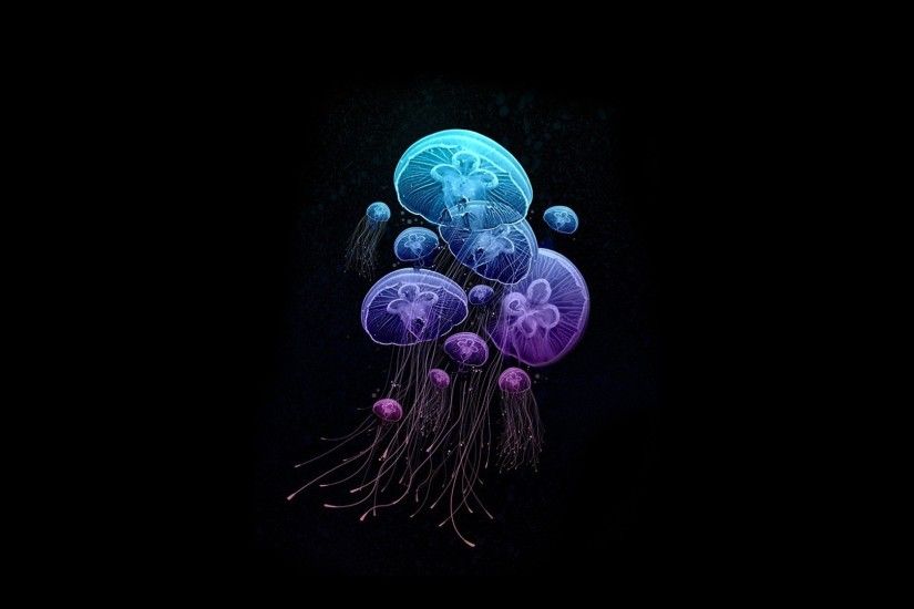 Jellyfish-Picture-HD