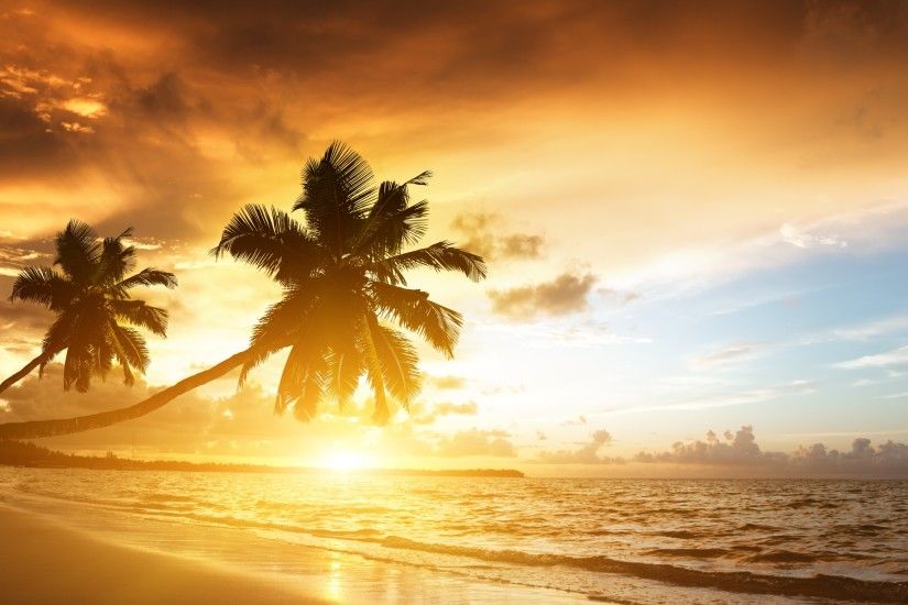 Preview wallpaper beach, tropics, sea, sand, palm trees, sunset, evening