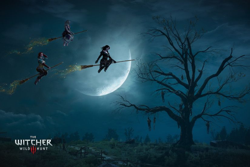 The Witcher 3 Wild Hunt Witches