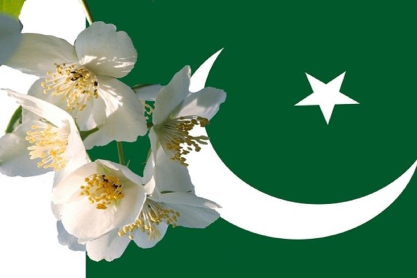 white-flowers-with-pakistani-flag-free-wallpapers-hd