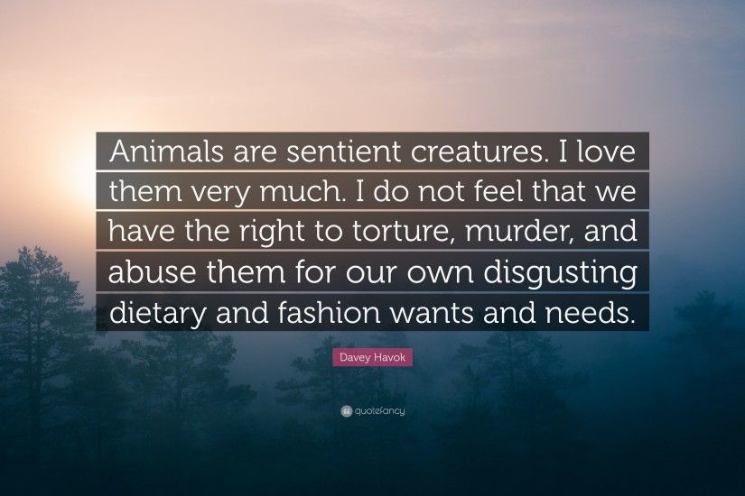 Davey Havok Quote: “Animals are sentient creatures. I love them very much.