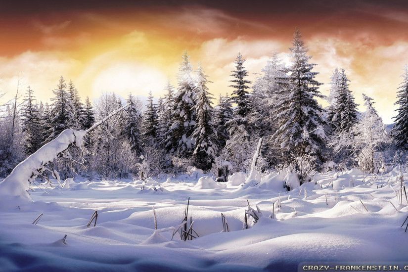 Wallpaper: Beautiful winter landscape wallpapers. Resolution: 1024x768 |  1280x1024 | 1600x1200. Widescreen Res: 1440x900 | 1680x1050 | 1920x1200