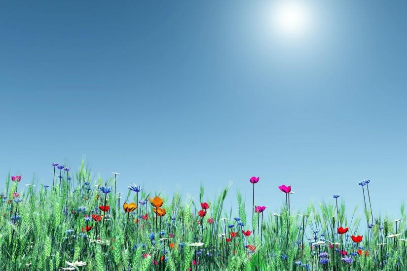 spring flowers wallpaper 1920x1200 for hd