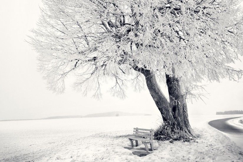 Preview wallpaper winter, snow, bench, tree, frost, track, cover 1920x1080