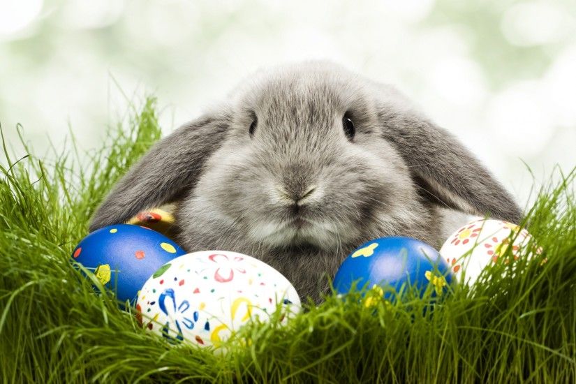 Easter desktop background pictures