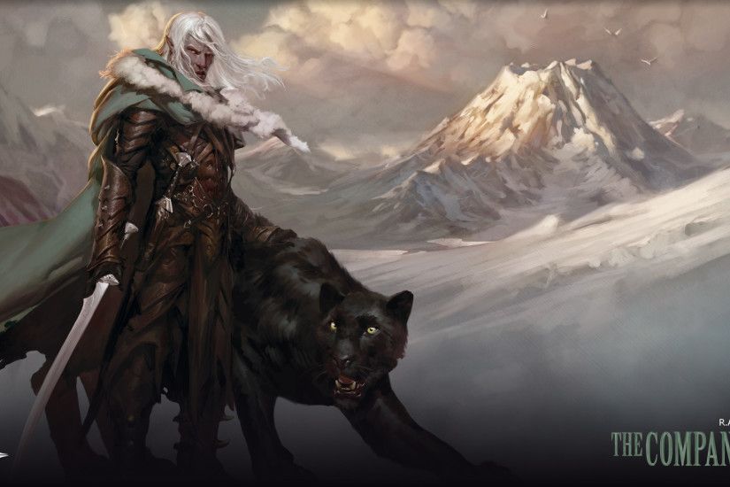 1920x1080 Drizzt Wallpaper 1920x1080 Dungeons & dragons: tyranny of