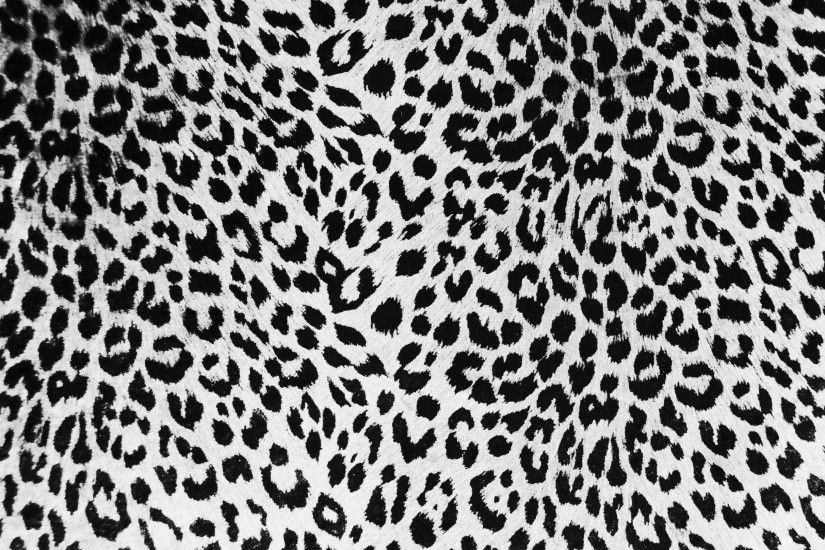Wallpapers For > Twitter Backgrounds Black And White Cheetah