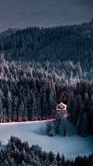 Winter snowy forest Galaxy S7 Wallpaper