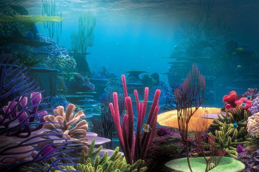 Underwater Photos of Coral Reefs | Download Underwater Coral Reef wallpaper  294550