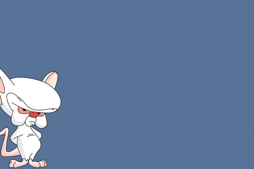 Brain from Pinky and the Brain wallpaper 1920x1080 jpg