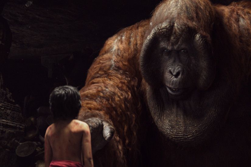 Movie - The Jungle Book (2016) Orangutan Wallpaper