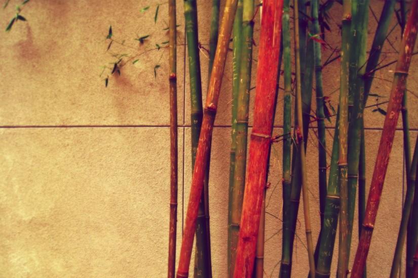 bamboo background 1920x1200 for android 50