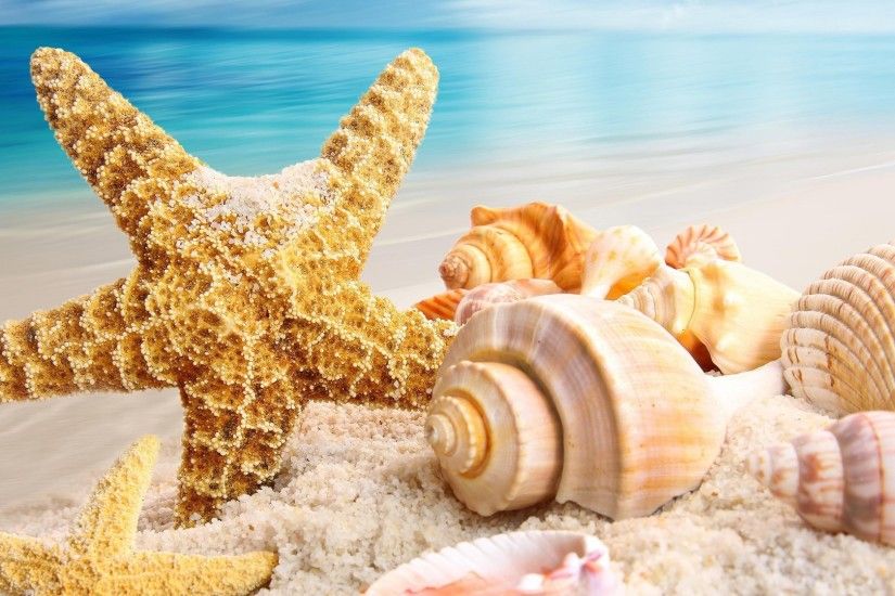 Starfish Seashells Seastar Shells Beach Ocean Sand Image