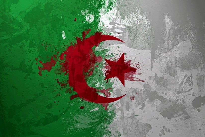 algeria algeria flag paint