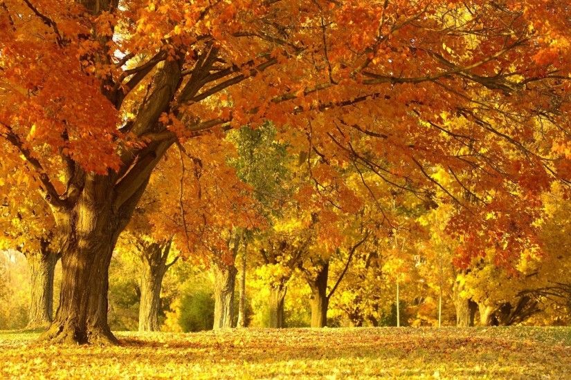 Fall-Scenery-HD-Background