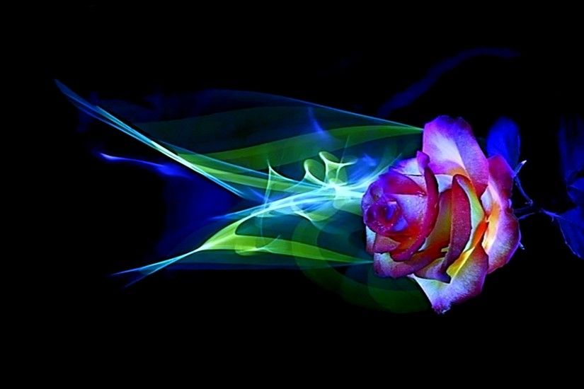 Caring, Colorful, Flower, Love, Neon Light, Romances, Rose Wallpapers