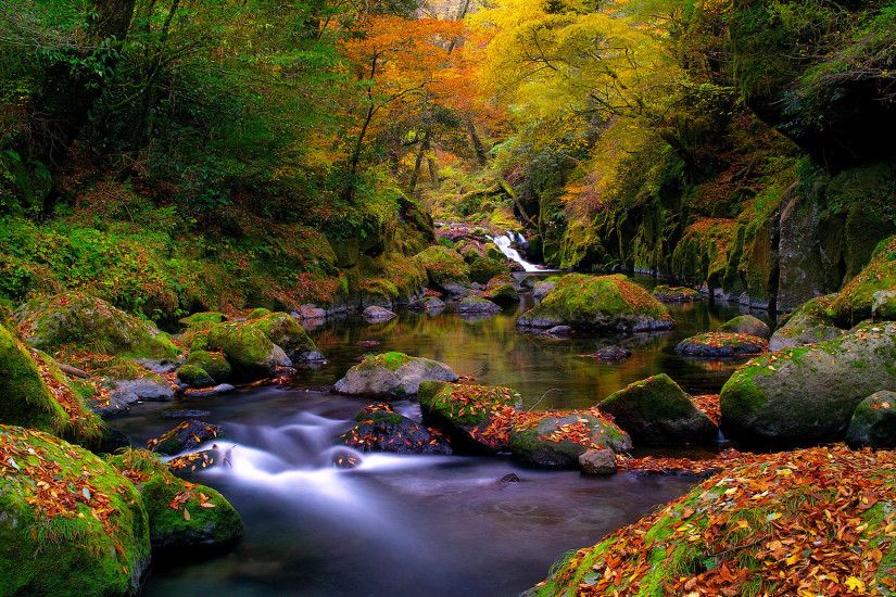 wallpaper.wiki-Beautiful-Autumn-River-Hi-Res-PIC-