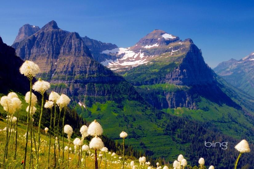 ... Antarctica Mt. Clements and Mt. Oberlin viewed from the Highline Trail  with bear grass in ...