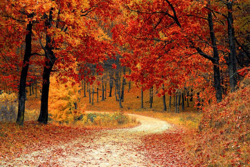 ... Autumn HD Wallpapers | HD Wallpapers ...