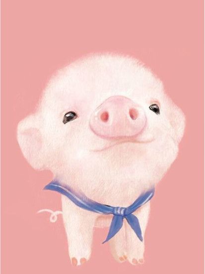 Cute pig wallpaper