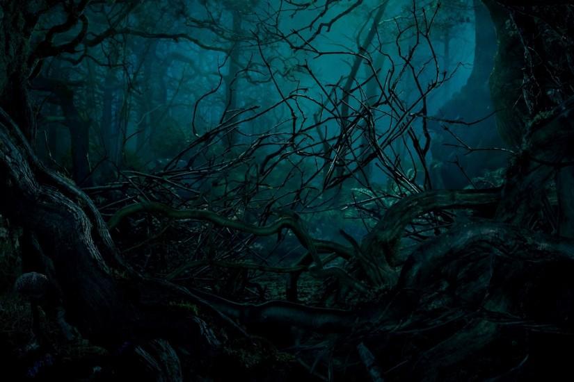 Into The Woods widescreen wallpapers