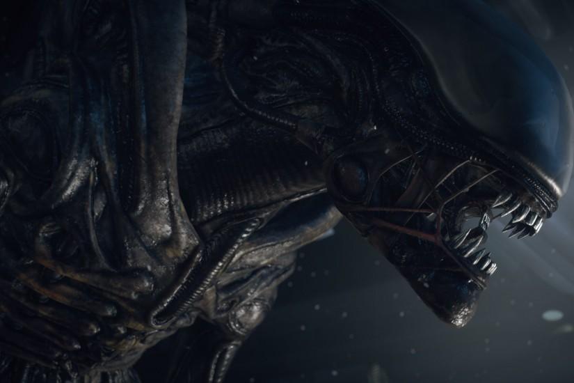 Xenomorph wallpaper I've had in my collection for a while ...