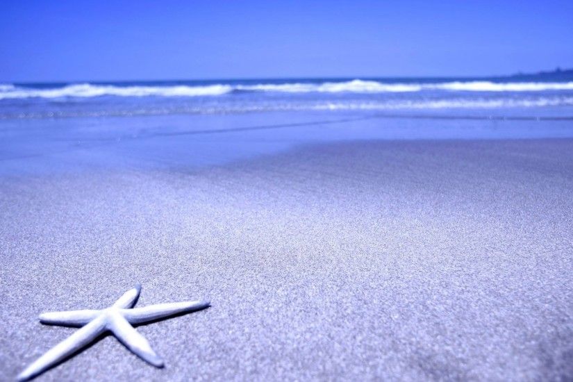 1920x1080 Wallpaper starfish, beach, sand, sea