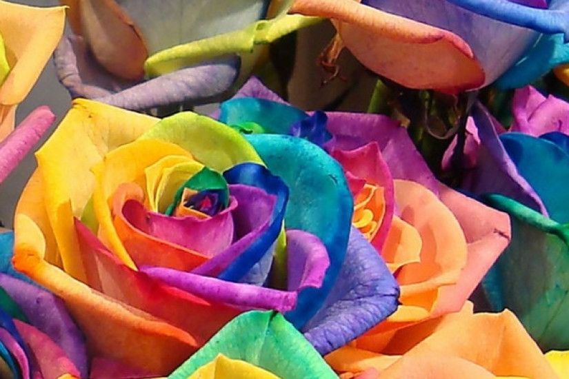 3840x1200 Wallpaper roses, flowers, colorful, buds, bright