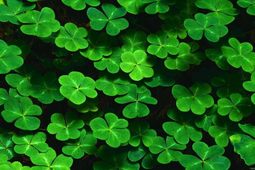 full size st patricks day background 1920x1080 for mobile hd