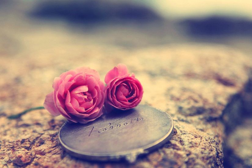 hd pics photos love romantic roses flowers desktop background wallpaper
