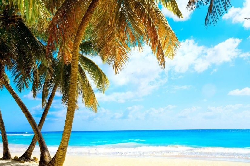 Ultra HD Tropical Beach 4K Backgrounds (1920x1080)
