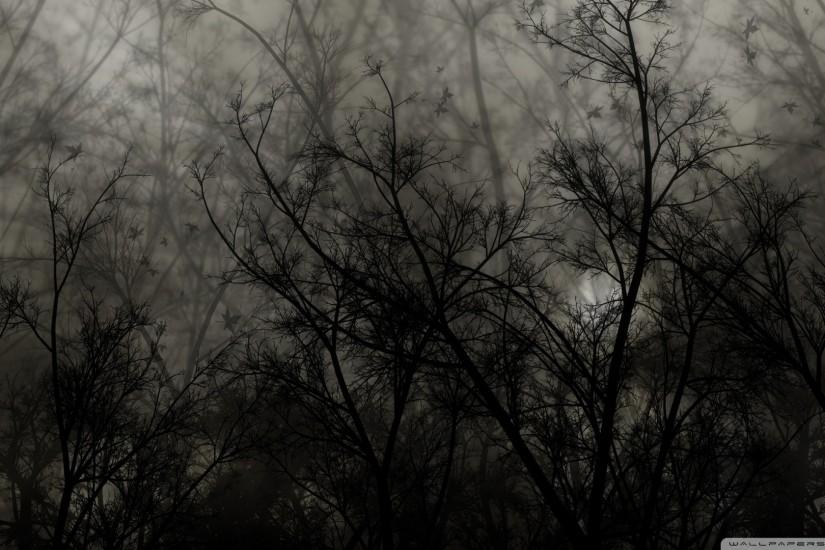 dark forest background 1920x1080 for computer