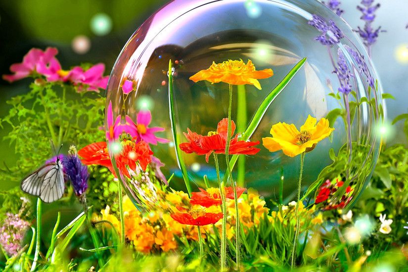 Spring flowers nature scene hd wallpapers free download