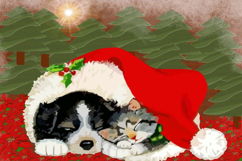 Cute Dog and Cat Wallpaper | PixelsTalk.Net