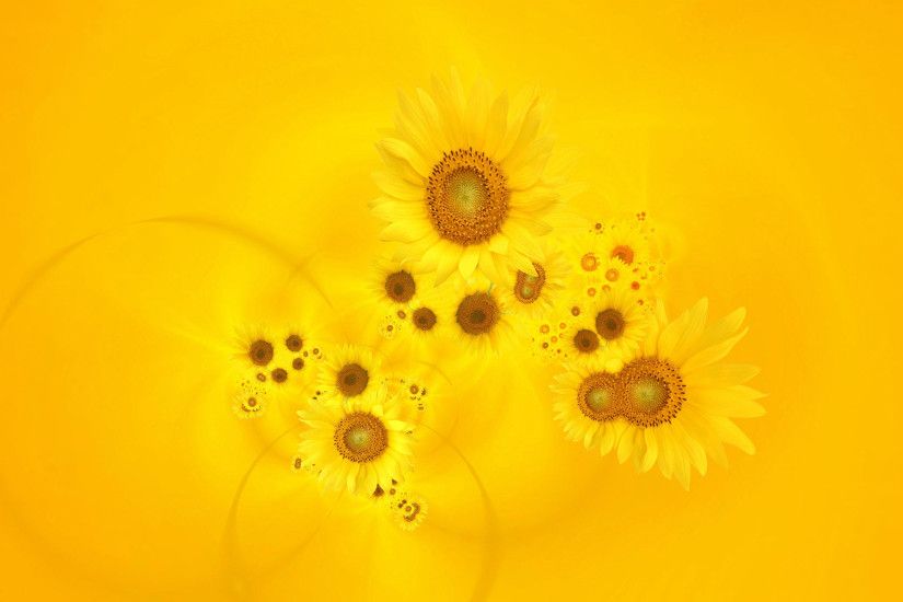 Bright Yellow Sunflowers Background