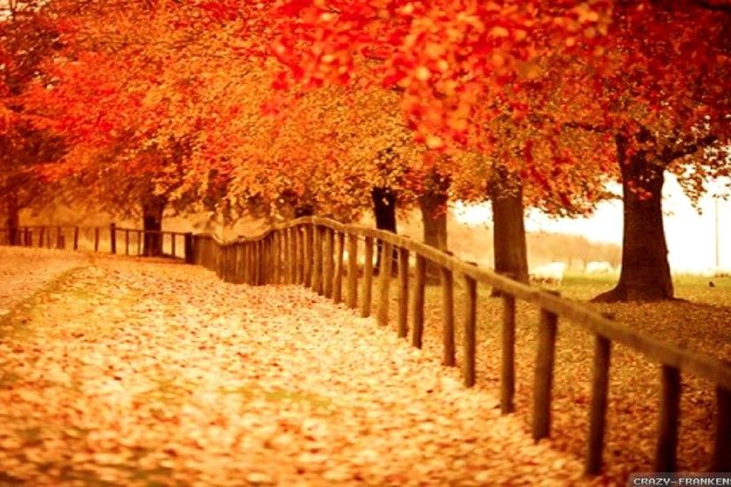 Beautiful autumn