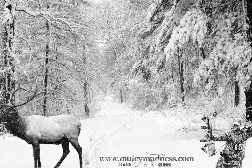 Elk In Snow Wallpaper Winter Elk In Snow Wallpaper