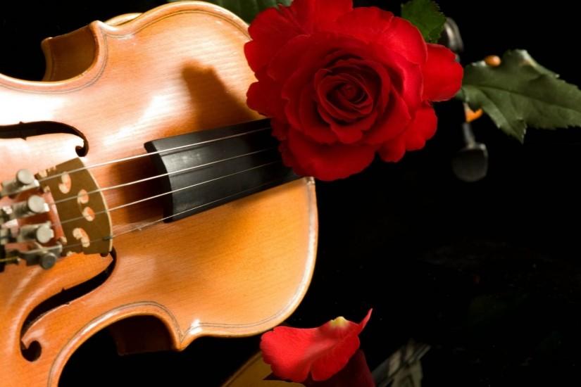 Red Rose On A Violin Wallpaper 230148 ...