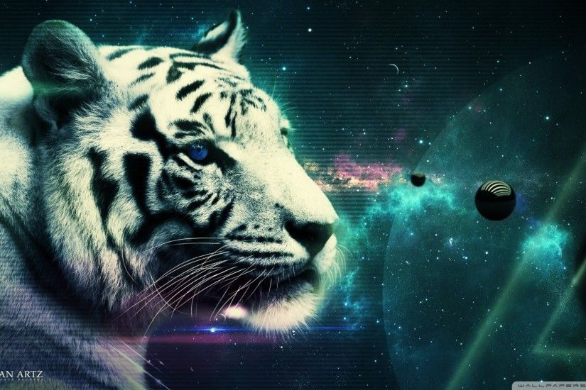 1920x1080 Download free Tiger Wallpapers. Amazing collection of full screen  Tiger HD Wallpapers at 2880x1800,