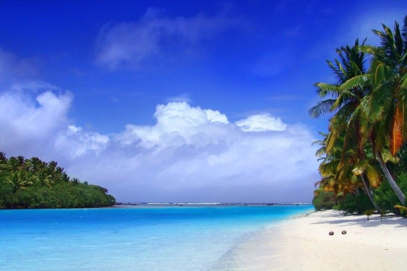 Tropical Wallpapers For iPad