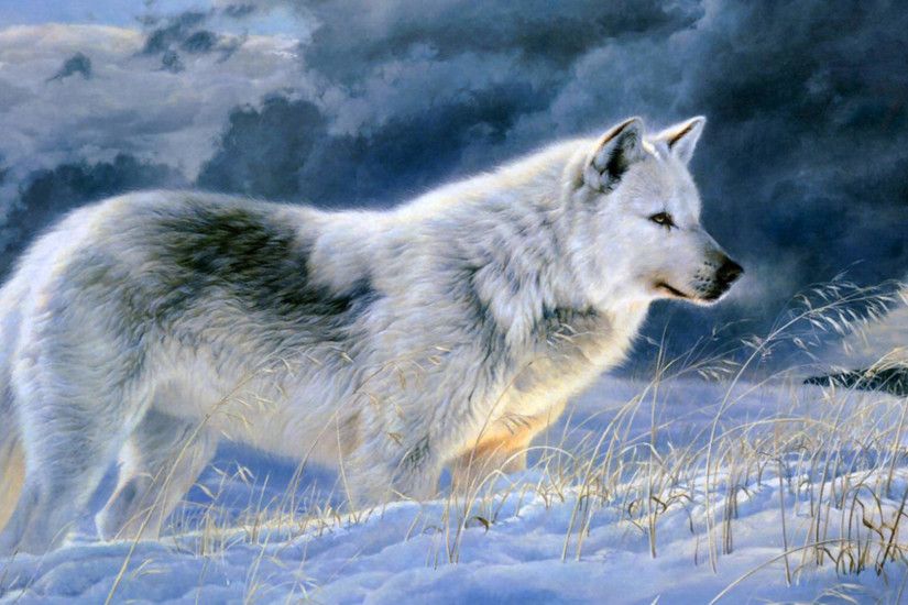 Dudespie images Wolves HD wallpaper and background photos