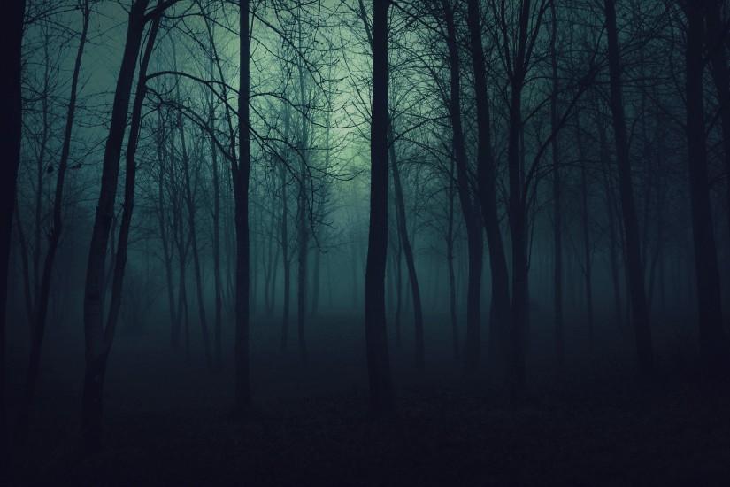 Wallpaper Wood, Trees, Gloomy, Fog, Haze, Darkness