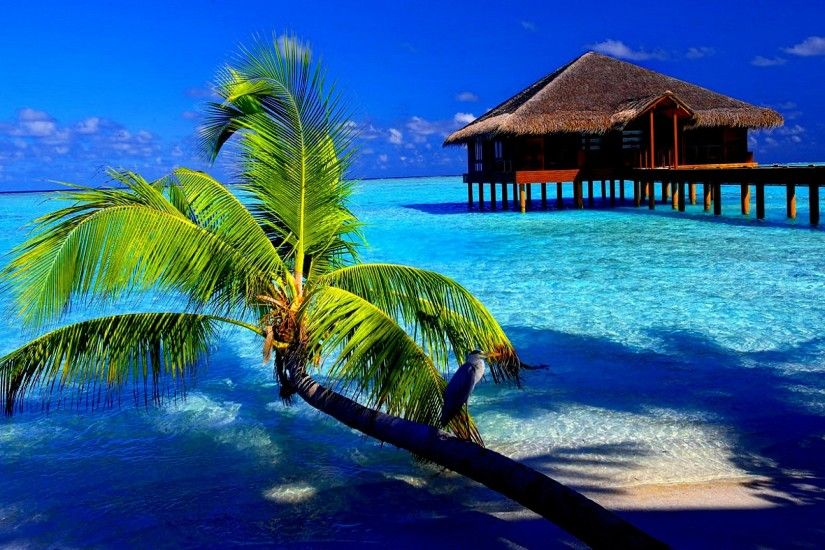 Related image with Tropical Beach Wallpaper Hd Wallpapers