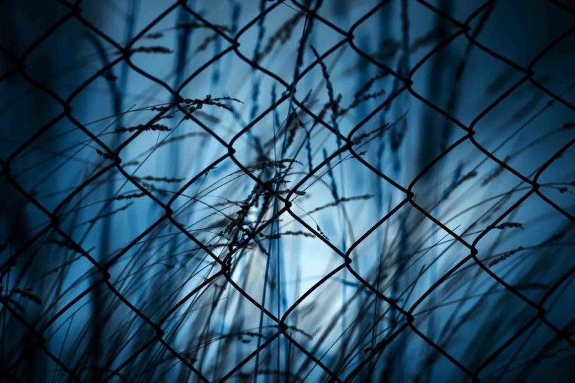 ... 11 best Razor Wire images on Pinterest | Wire, Barbed wire and .