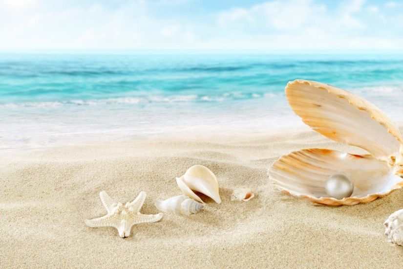 Perl Tag - Seashells Shells Sea Beach Sand Perl 2k Wallpaper for HD 16:9