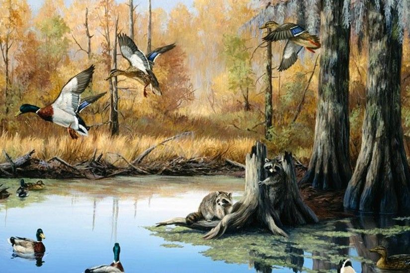 Duck hunting desktop wallpaper - photo#25