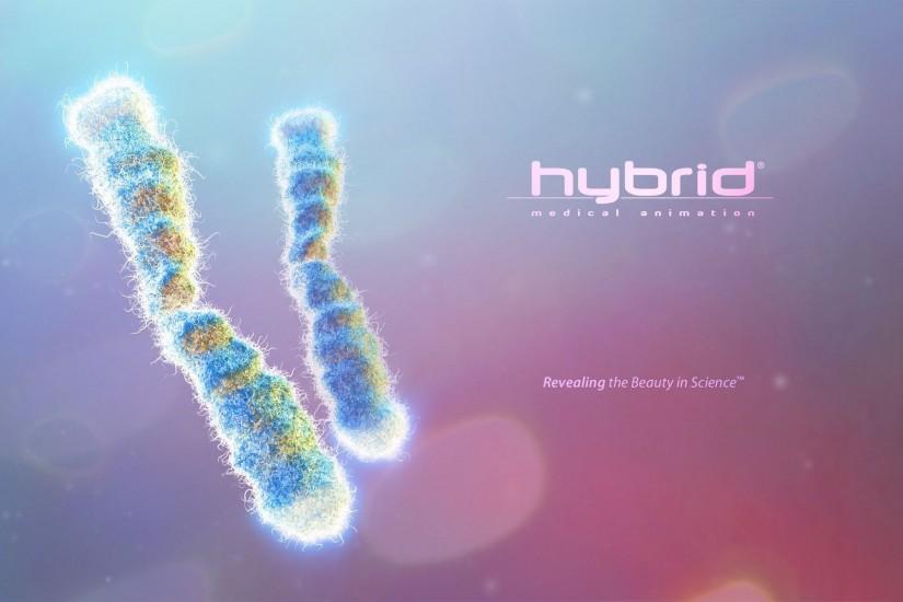 Hybrid System Medical Wallpapers 3096 High Resolution | download .