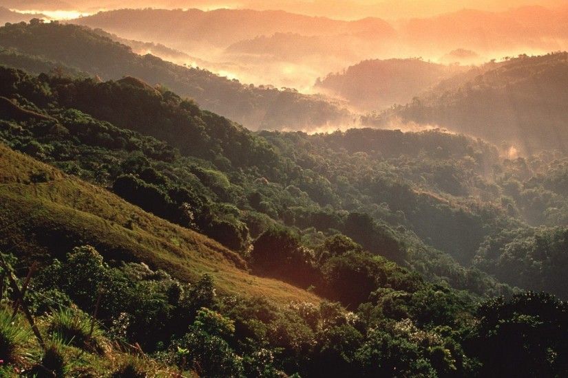 Rainforest Tag - Rainforest Puerto Rico Mountains Amazing Nature Pictures  Wallpapers for HD 16:9