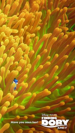 Finding Dory iphone 6 wallpaper