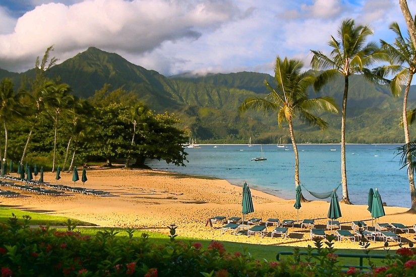 Hawaii Nature Background Beach Beaches Media Webshots Beautiful Hd